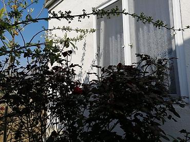 Həyət evləri və villalar: Hövsan qəs. 4 otaqlı, 110 kv. m, Kredit var, Yeni təmirli — 5