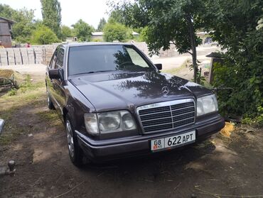мерс кабан дизел: Mercedes-Benz 220: 1994 г., 2.2 л, Механика, Бензин, Седан