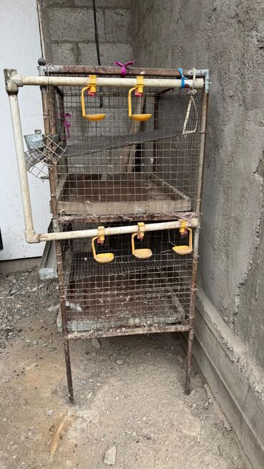 Товары и оборудование для с/х животных: Продается клетка для перепел at lalafo.kg — 5 Товары и оборудование для с/х животных: Продается клетка для перепел — 5