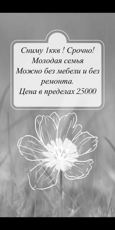 кой таш квартира: 1 бөлмө, Менчик ээси, Чогуу жашоосу жок