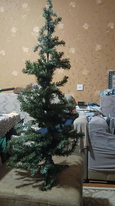 şaxta baba saxta can: Yolka satilir yeni kimidiölçüsü 1.20 :sm qiymeti 15 azn shaxta baba — 1