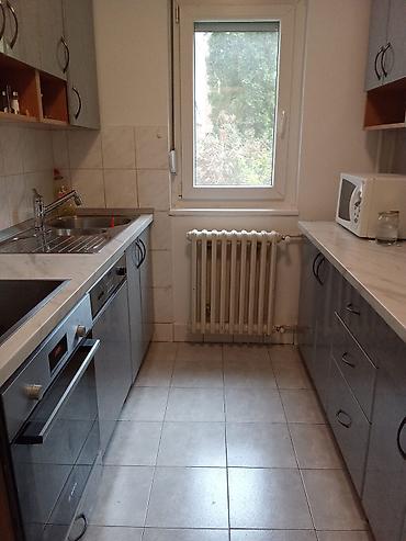 prodaja kuca leskovac: Selling 4.0 flat Vracar Belgrade huge terrace glass winter house — 6