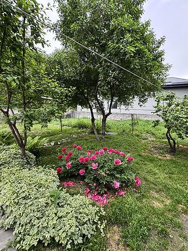 Продажа коттеджей и домов: Продается дом 6 соток по первой линии 80кв.м Воды: центральное — 5
