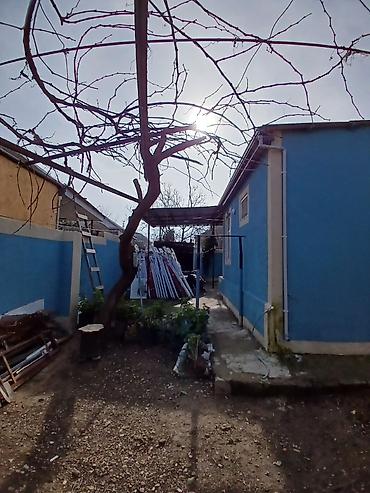 aşağda: 3 otaqlı, 140 kv. m — 10