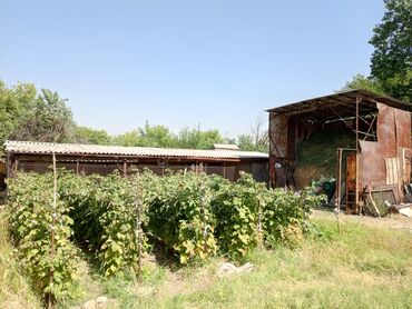 продаю дом в селе красная речка: Кант дачный уй сатылат 2 комната 5 соток таза суу бар арычный да бар