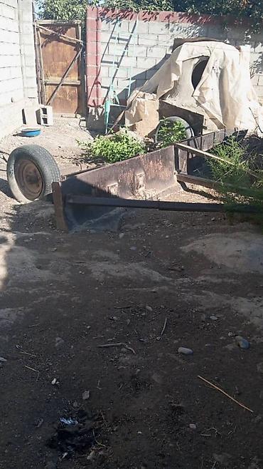 Другие сеялки: Продаю сеялка сеелка сеялку кукурузную дисковые сошники, роторную — 29