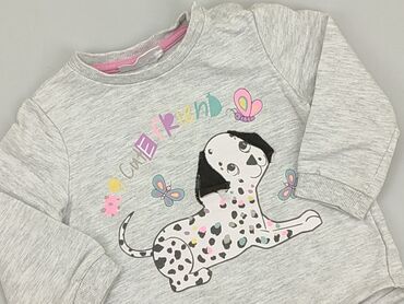 trampki dla dziewczynki 31: Bluza, So cute, 9-12 m, stan - Dobry