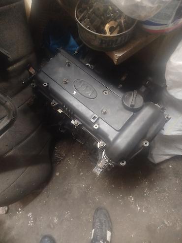 Kia Rio 2012 1.4 mator zapcast nə lazımdırsa deyə bilersiz lalafo.az -da Kia Rio 2012 1.4 mator zapcast nə lazımdırsa deyə bilersiz