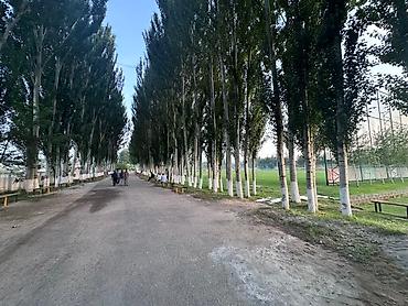 Продажа коттеджей и домов: 🏡 🚨 Продается новый жилой дом - г. Кант, улица Гагарина 62. - 1ый — 17