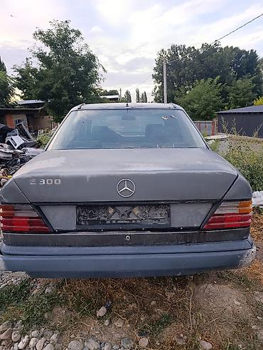ml 163: Mercedes-Benz W124: 2026 г., 3 л, Механика, Бензин, Седан — 1