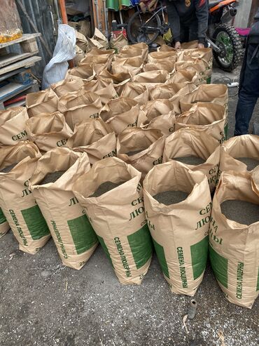 Зерновые культуры: Беде урук оптом 7 Обласка салып жоробуз ишенимду таза кепилдик бар — 11