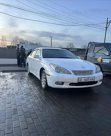 Lexus: Lexus ES: 2003 г., 3 л, Автомат, Газ, Седан — 1