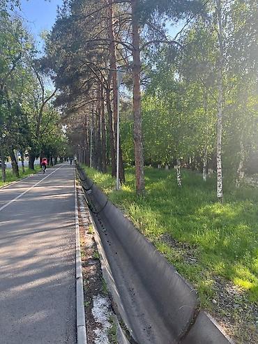 Продажа коттеджей и домов: Продается ДОРОГО особняк. For Sale – 8 rooms ( 6 bedroom + 2 main — 8