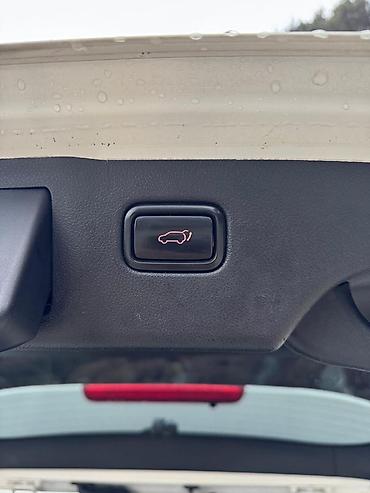 Kia: Kia Sorento: 2019 г., 2 л, Автомат, Дизель, Кроссовер — 11