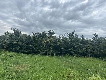 Həyət evləri və villaların satışı: 3 otaqlı, 100 kv. m, Yeni təmirli — 22