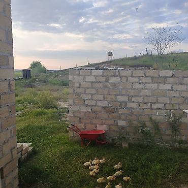 quba bina evleri: 2 otaqlı, 8 kv. m, Kredit yoxdur, Təmirsiz — 6