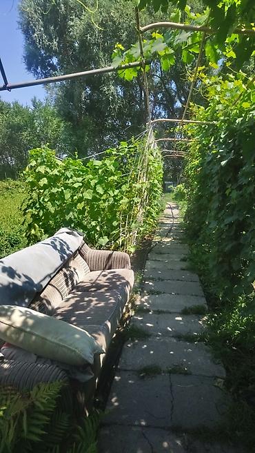 Продажа коттеджей и домов: Продаю дом в центре села Ленинского по улице Восточная 127. Участок — 4