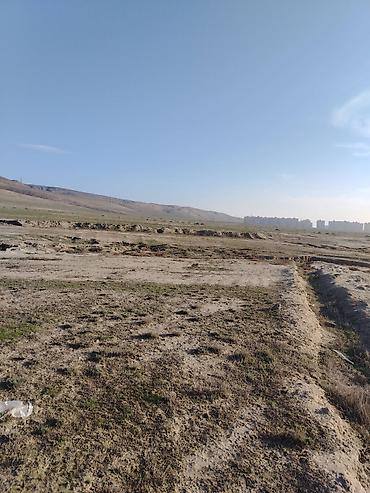Torpaq: 4 sot, Tikinti, Mülkiyyətçi, Kupça (Çıxarış) — 3