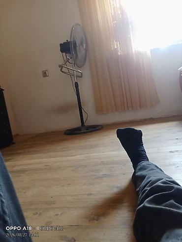televizor 46 inch: Ventilyator Adler, Yeni, Döşəməüstü, Pərli, Kredit yoxdur, Pulsuz çatdırılma — 2