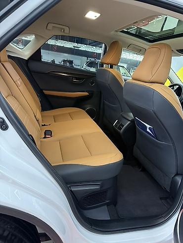 Lexus: Lexus NX: 2020 г., 2 л, Типтроник, Бензин, Кроссовер — 14