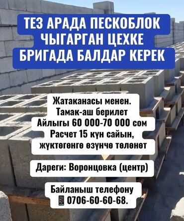 работа на пескоблоке: Требуется Разнорабочий, Оплата Дважды в месяц, Менее года опыта