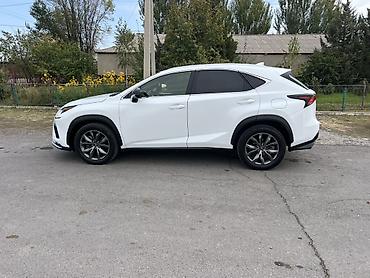 Lexus: Lexus NX: 2020 г., 2 л, Автомат, Бензин, Кроссовер — 3