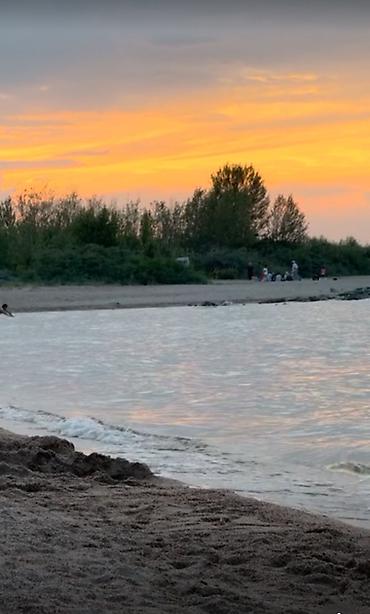 ысык куле: 100 соток, Бизнес үчүн, Кызыл китеп, Техпаспорт — 4