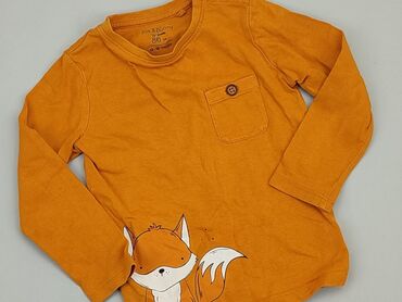 spodenki cardio bunny: Bluza, Fox&Bunny, 12-18 m, stan - Idealny