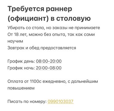 кафе на заказ: Требуется Официант Без опыта, Оплата Ежедневно