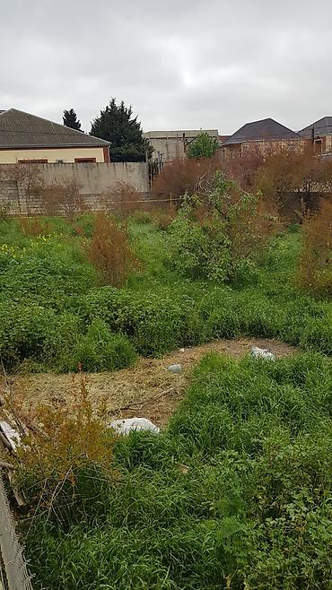 samaxida torpaq sahesi satilir: 6 sot, Tikinti, Kupça (Çıxarış) — 1