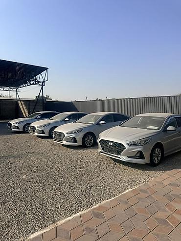 sonata нюрайс: Hyundai Sonata: 2020 г., 2 л, Автомат, Бензин, Седан — 8