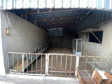 Продажа домов: Дом, 50 м², 3 комнаты, Собственник, Косметический ремонт — 16