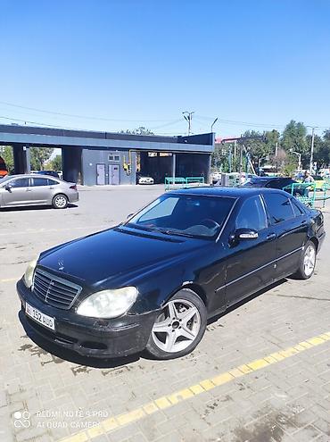 41 5: Mercedes-Benz S-Class: 2003 г., 5 л, Автомат, Бензин, Седан — 3