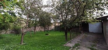 Həyət evləri və villaların satışı: Şəki şəhər Sabit Rəhman küç. dal6/8 — 6