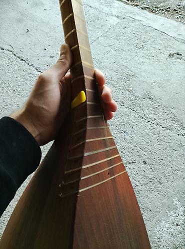 luc qol saati: Elektro saz – gövdəsində quraşdırılmış elektronik sistemlə - Korpus — 1