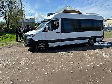 d 4d: Пункт назначения: Все направления — 2
