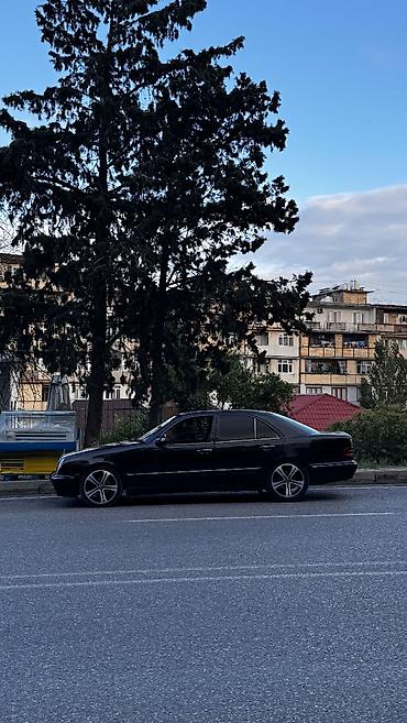 07 disk: Yeni Disk AMG R 18, 5 Boltlu — 3