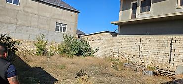 Kənd təsərrüfatı, Kupça (Çıxarış) lalafo.az -da Kənd təsərrüfatı, Kupça (Çıxarış)