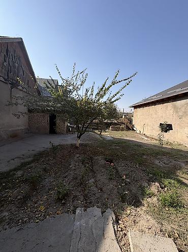 аренда осябняк: 3 комнаты, 56 м², 450 соток, Бишкек, Кызыл Аскер Агентство недвижимости — 6