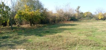 Torpaq sahələrinin satışı: 13 sot, Tikinti, Mülkiyyətçi, Kupça (Çıxarış) — 7