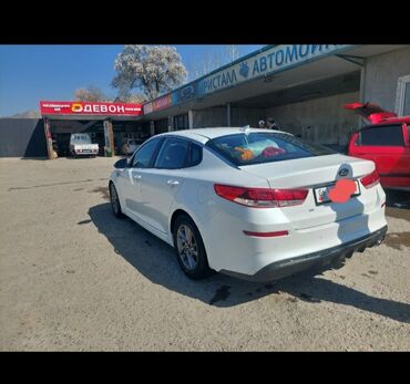 Kia: Kia Optima: 2020 г., 2.4 л, Автомат, Бензин