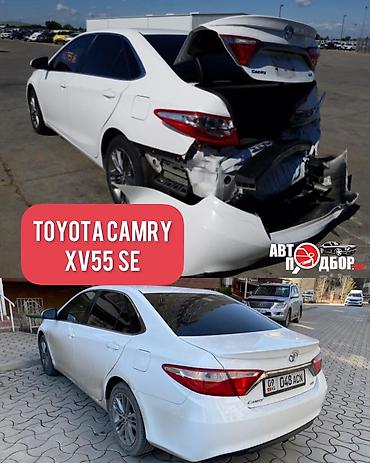 thinkdiag 2: Автоподбор Бишкек Выездная проверка авто Разовая проверка от 2000с и — 8