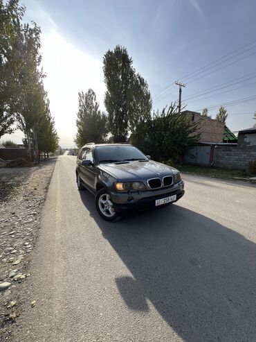 BMW: BMW X5: 2002 г., 4 л, Автомат, Дизель, Универсал