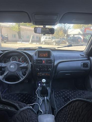 audi 4: Nissan Almera: 2006 г., Механика, Бензин, Седан — 1