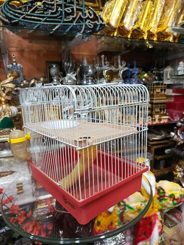 Dovşanlar: Dovşan yemləri 1-kilosu 2azn Dovşan balaları 5azn topdan Tək tək 9-azn — 10