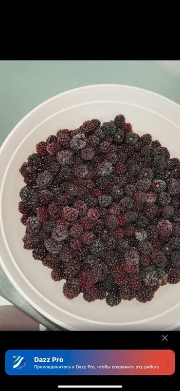 саженцы ежемалины: Замороженные фрукты, ягоды