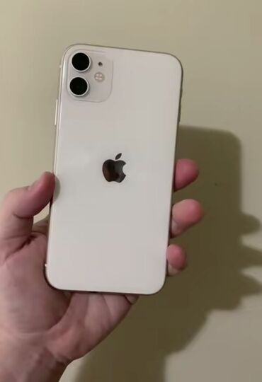 IPhone 11, Ağ