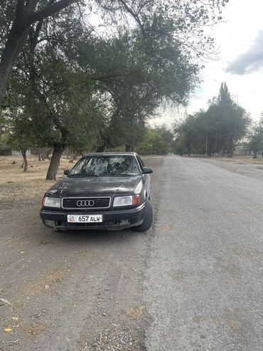 Audi: Audi 100: 1994 г., 2.3 л, Механика, Газ — 13