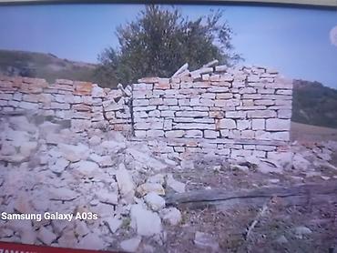 dasin qiyməti 2023: 30 sot, Mülkiyyətçi, Kupça (Çıxarış) — 1