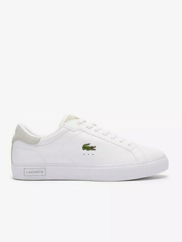 лининг кросовки: Мужские кеды "Lacoste" качество LUX. Ликвидация Цен!!! Всего за 2499